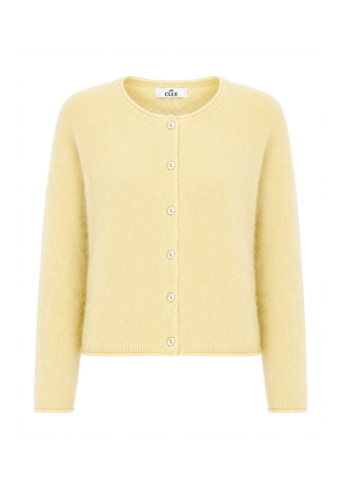 teriyellow.png