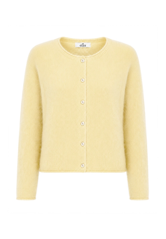 teriyellow.png
