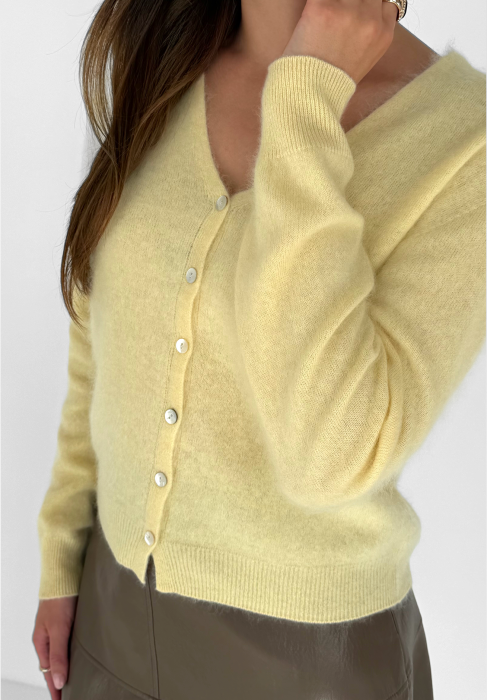 devon_pastelyellow2.png