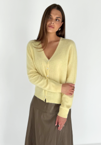devon_pastelyellow4.png